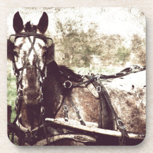 Porta-copo Cavalo do Appaloosa