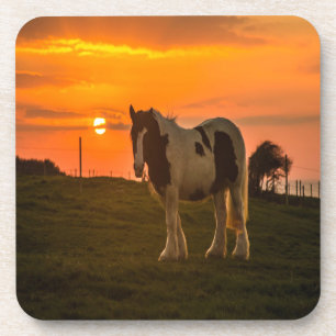 Porta-copo Cavalo do Sol