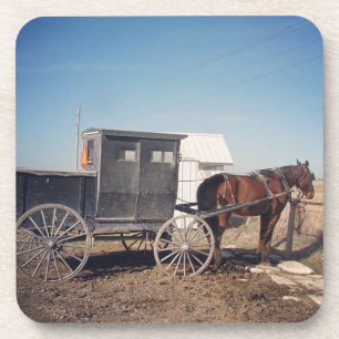 Porta-copo Cavalo e carrinho de espera de Amish