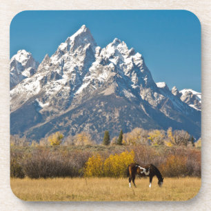 Porta-copo Cavalo e Grand Tetons, Moose Head Ranch