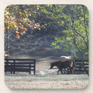 Porta-copo Cavalo Marrom andando pela cerca