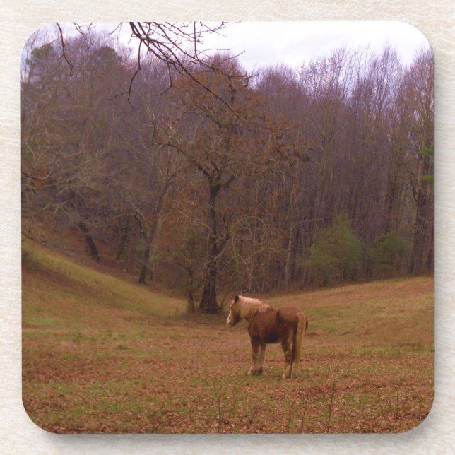 Porta-copo Cavalo Marrom e Loiro em um campo (Frente)