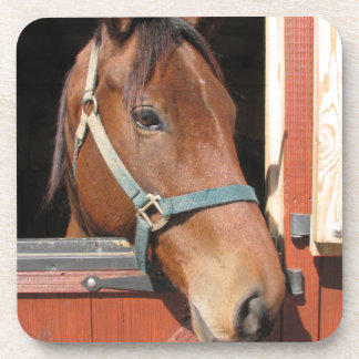 Porta-copo Cavalo no celeiro