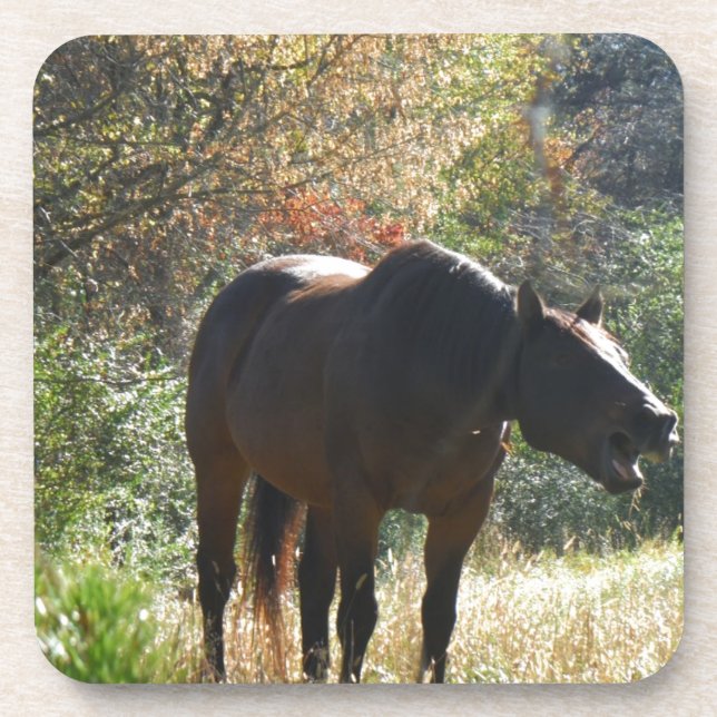 Porta-copo Cavalo no outono (Frente)