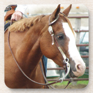 Porta-copo Cavalo Ocidental