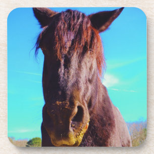 Porta-copo Cavalo Roxo com Boca Verde