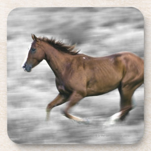 Porta-copo Cavalo Running