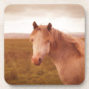 Porta-copo Cavalo selvagem