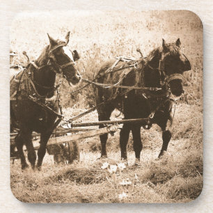 Porta-copo Cavalos Amish em Trabalho