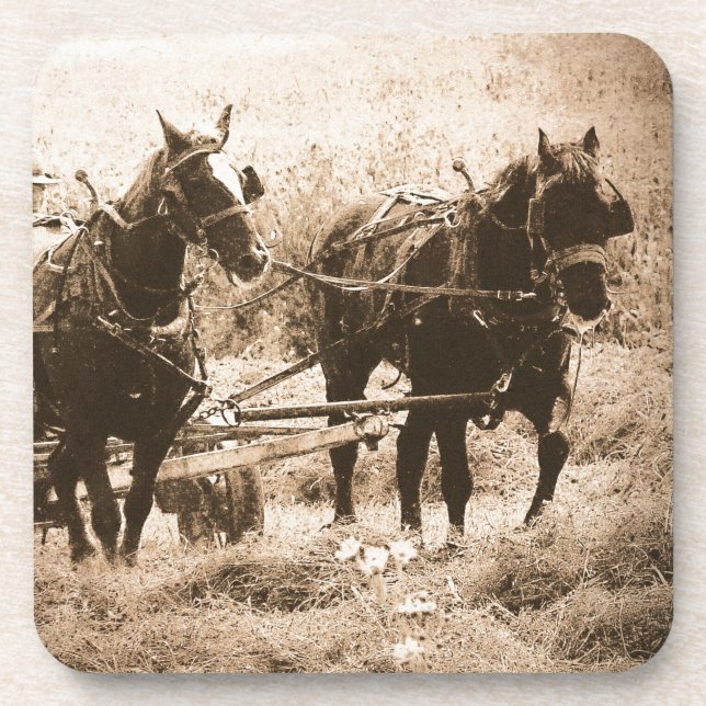 Porta-copo Cavalos Amish em Trabalho (Frente)