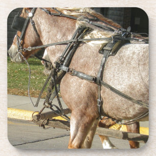 Porta-copo Cavalos bonito