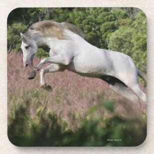 Porta-copo Cavalos da fantasia: Galope do primavera