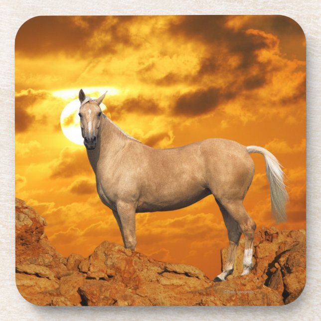 Porta-copo Cavalos da fantasia: Montanha (Frente)