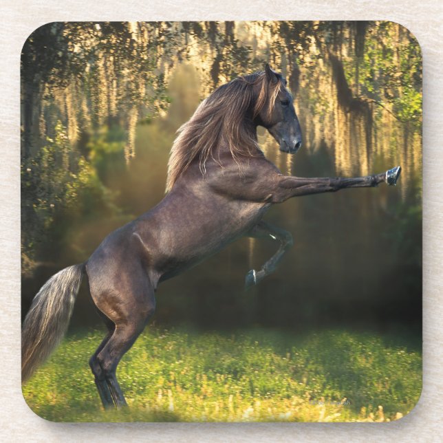 Porta-copo Cavalos da fantasia: Príncipe do guerreiro (Frente)