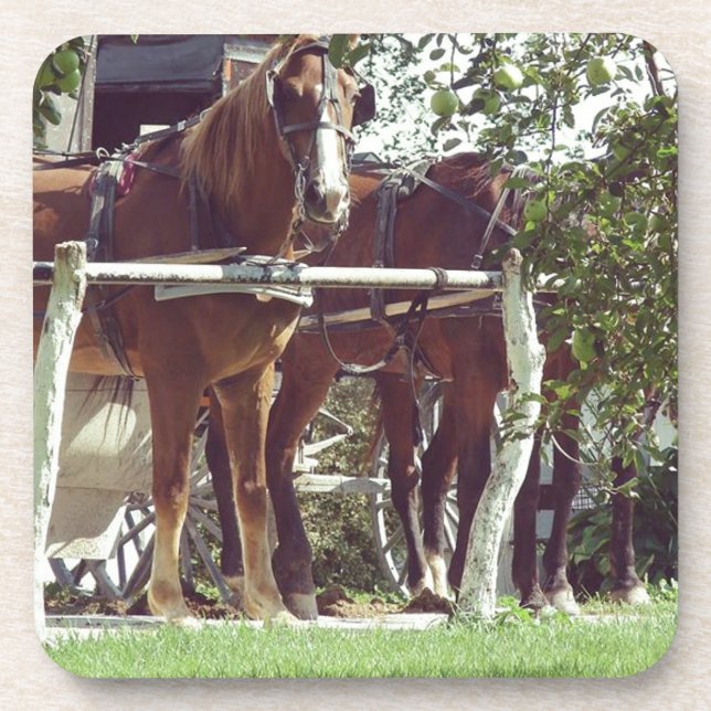 Porta-copo Cavalos de Amish no Posto de Hitching em torno de  (Frente)