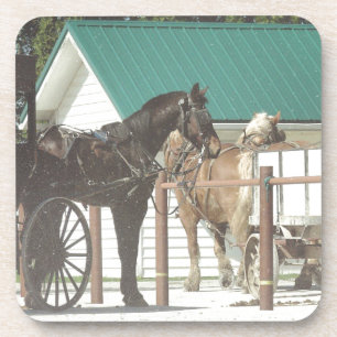 Porta-copo Cavalos de Kalona Amish