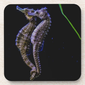 Porta-copo Cavalos de mar (cavalos marinhos)