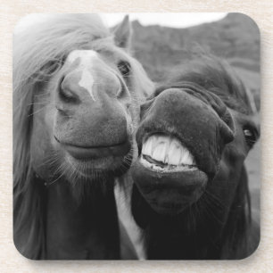 Porta-copo Cavalos de sorriso das imagens de Getty