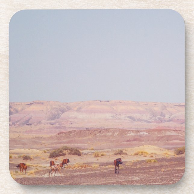 Porta-copo Cavalos do Deserto Americano P8670 (Frente)