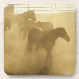 Porta-copo Cavalos na cerca