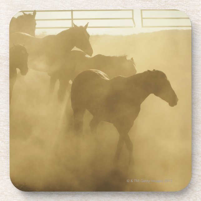 Porta-copo Cavalos na cerca (Frente)
