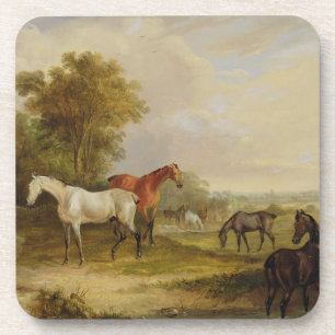 Porta-copo Cavalos que pastam: Um garanhão cinzento que past