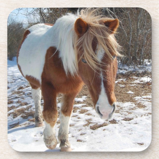 Porta-copo Cavalos selvagens, fauna selvagem, Portas copos, c (Frente)