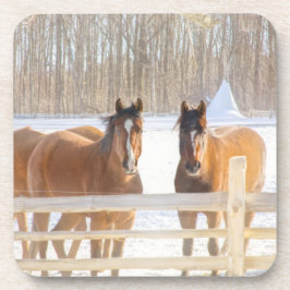 Porta-copo Cavalos Vermont Inverno Suporte de Plástico Rígido