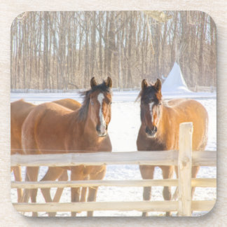Porta-copo Cavalos Vermont Inverno Suporte de Plástico Rígido