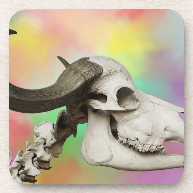 Porta-copo Caveira de Buffalo em Fundo de Aquarela (Frente)
