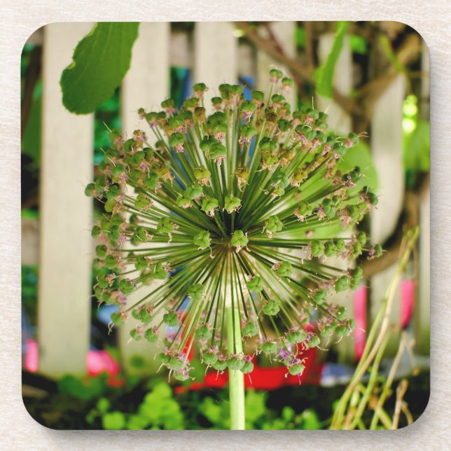 Porta-copo Cebola Ornamental (Frente)