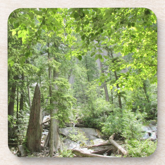 Porta-copo Cena da Floresta Verde Mágica. (Frente)