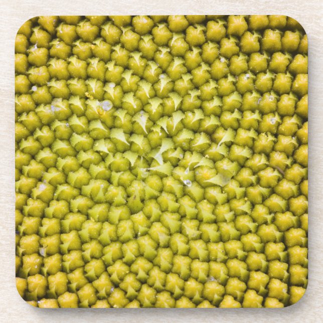 Porta-copo Centro do girassol gigante (Helianthus annuus) (Frente)