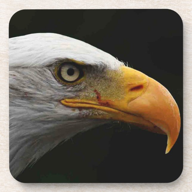 Porta-copo Cercna costeira da águia-calda (Frente)