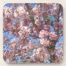 Porta-copo Cerejeiras em Flor