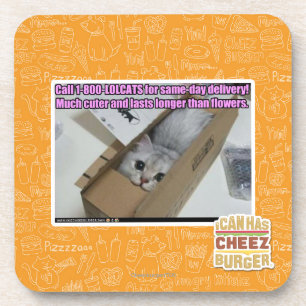 Porta-copo Chamada 1-800-LOLCATS