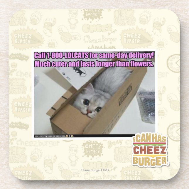 Porta-copo Chamada 1-800-LOLCATS (Frente)