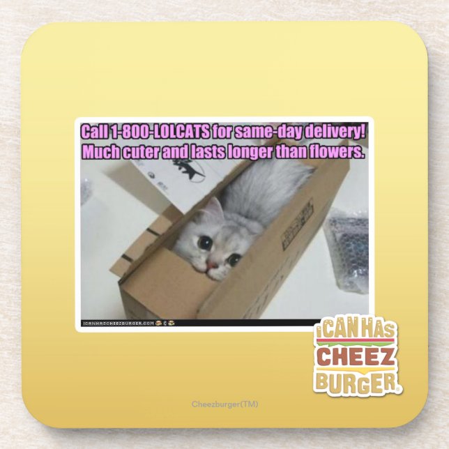 Porta-copo Chamada 1-800-LOLCATS (Frente)