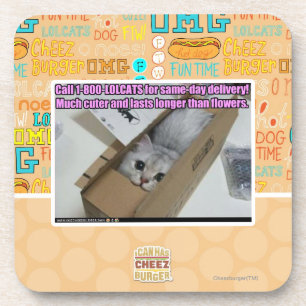 Porta-copo Chamada 1-800-LOLCATS