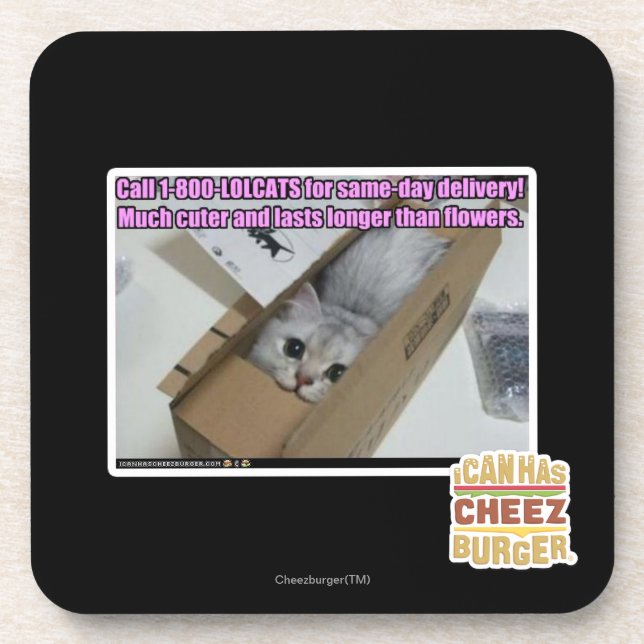 Porta-copo Chamada 1-800-LOLCATS (Frente)