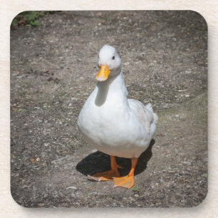 Porta-copo Chamar pato