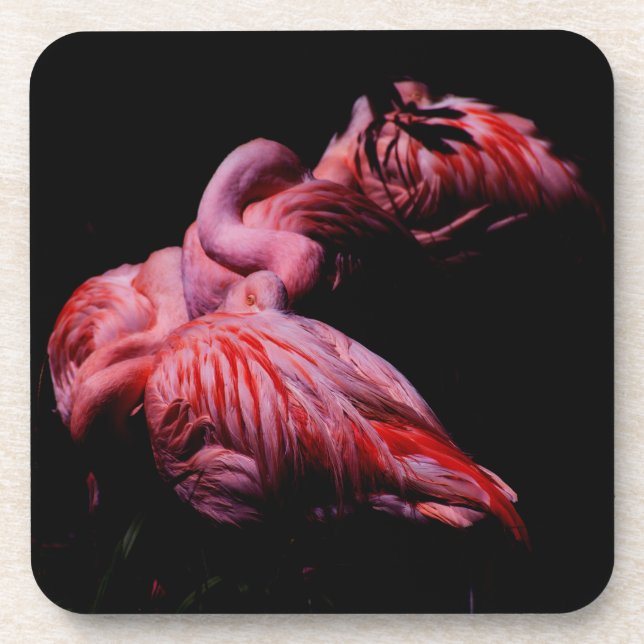 Porta-copo Chamas na Escuridão (Frente)