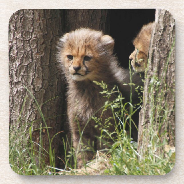 Porta-copo Cheetah 005 (Frente)