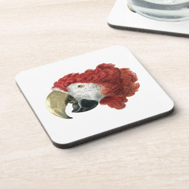 Porta-copo Chefe de Macaw (1725-1792) Aert Schouman (Left Side)