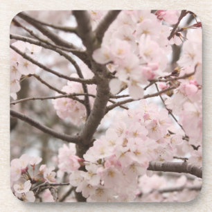 Porta-copo Cherry Blossom