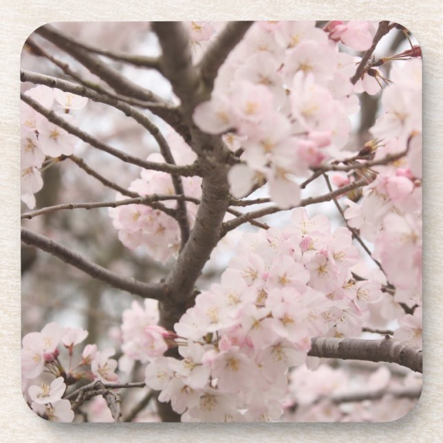 Porta-copo Cherry Blossom (Frente)