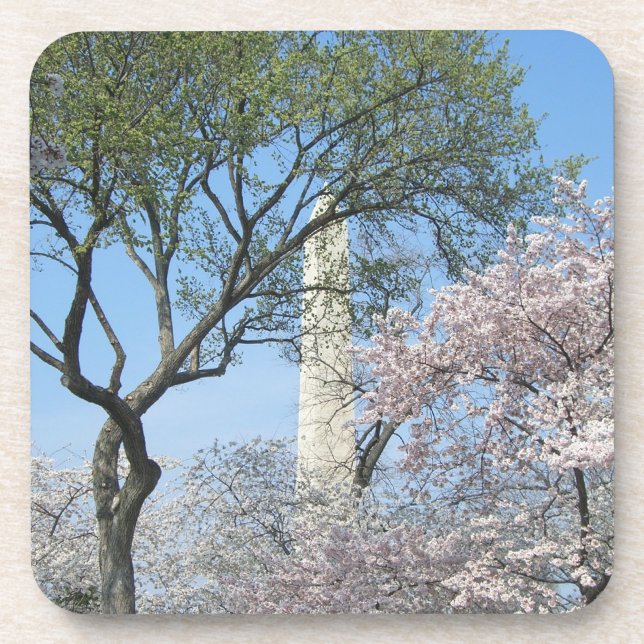 Porta-copo Cherry Blossoms e o Monumento de Washington em DC (Frente)