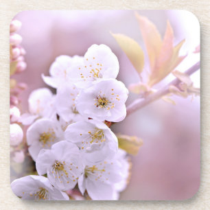 Porta-copo Cherry Tree Blossoms