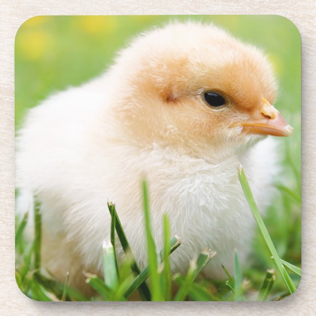 Porta-copo Chick (Frente)