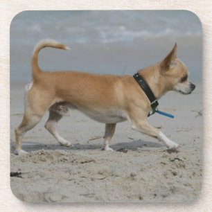 Porta-copo Chihuahua na praia